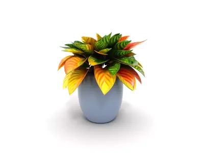Vibrant Croton Plant in Matte Ceramic Pot Low-poly 3D model