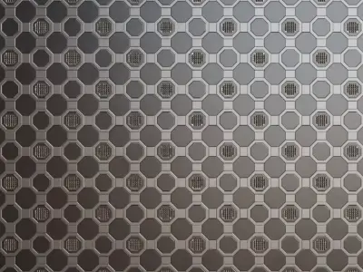 Geometric Hexagonal Decorative Metal Plates PBR Seamless Texture