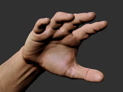 Realistic Male Arm 