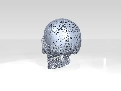 Skull Voronoi 3D model