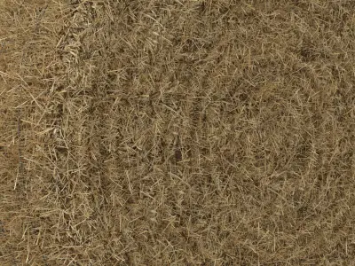 Hay Bale 2 3D model