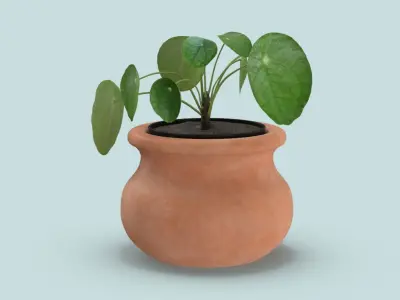  House Plants Bundle 