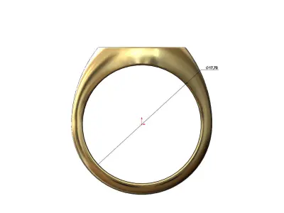 Round signet ring with gothic ornament N08 3D print model