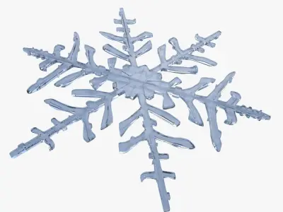 Snowflake 3D model