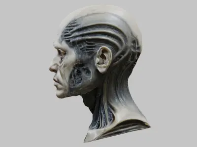 Portrait of a man HR Giger Style Human Head Bust 3 Low-poly 3D model