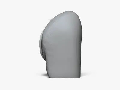  Anatomy of a Vagina for Study 