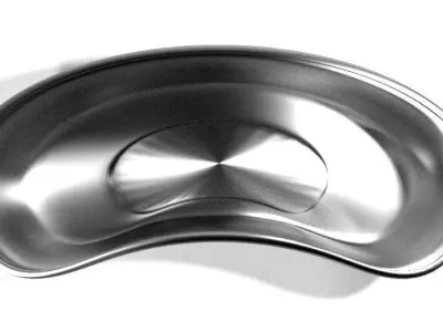 Medical Equipment Kidney Dish 3D model