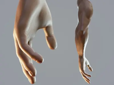 dark skin hand anatomy man 3D model