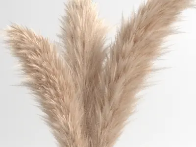 Soft pampas 2 3D model