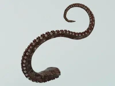  Octopus Tentacle Multicolor Rigged Animated 