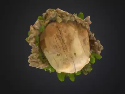 wooden skull carved out of a tree stump Low-poly 3D model