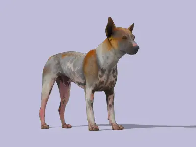 Mixed-breed dog Low-poly 3D model
