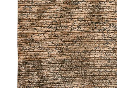 Abaca Micro Zebra 3D model