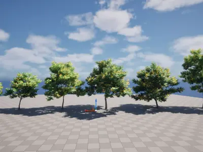 E5 Wind Plants - Bulnesia arborea - verawood Low-poly 3D model