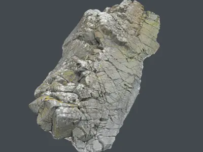 3d scanned rock cliff T 3D model