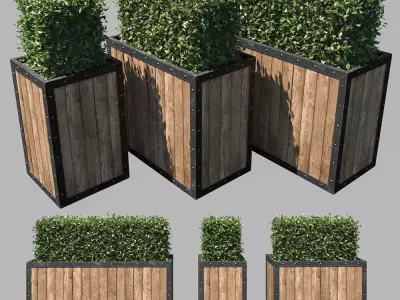 Street bush in a box II 3D model