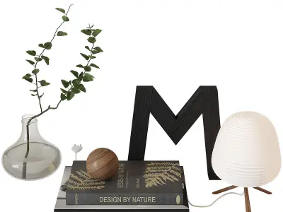 Decorative Set 14 3D model