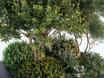 Group Plants with resting area 3D model