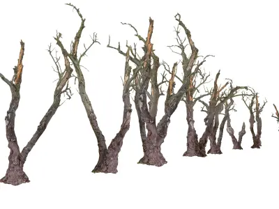  Spooky Forest Pack 30 