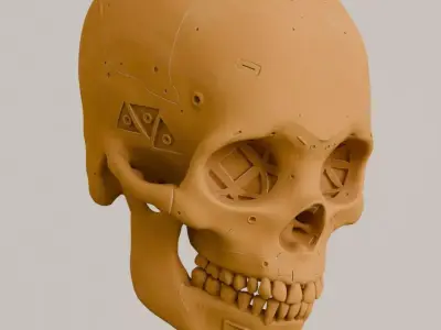 Robot Cranium 3D model