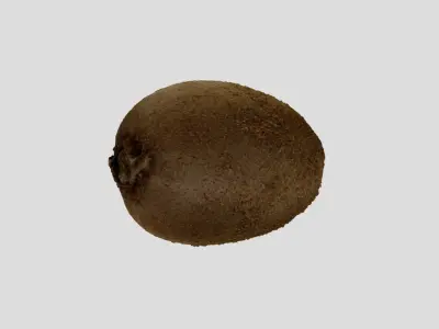 Kiwi Fruit 3D model