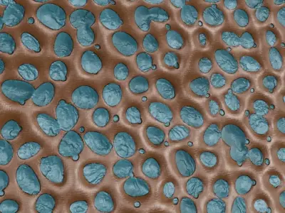 Vein Brass Metallic Decor PBR Seamless Texture