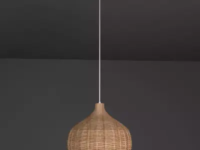 Hanging light Free 3D model purchase