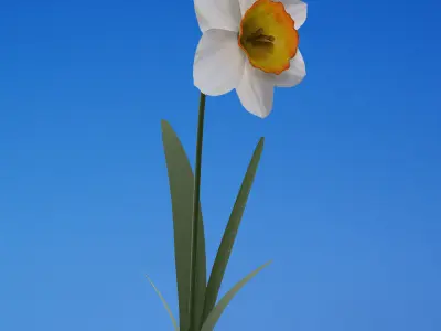 artificial flower petal da1 3D model