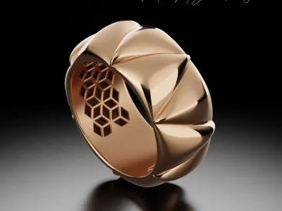 Celestial Harmony Ring 3D print model