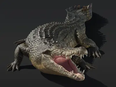  Saltwater Crocodile Rigged 