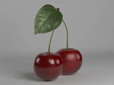 Cherries 3D model