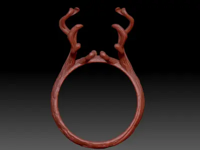 Ring wood  3D print model