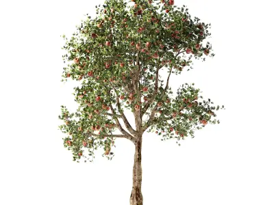 Apple tree Low-poly 3D model