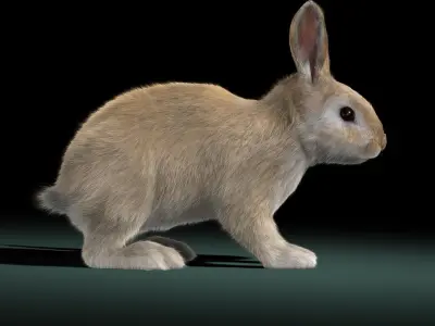  Rabbit Cream (ANIMATED) (FUR) 