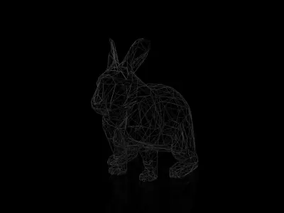 Rabbit Wireframe Low-poly 3D model