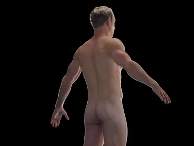  Male Body Skeleton Ligaments and Muscles Static 