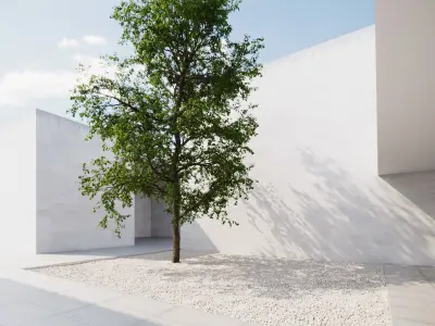 Large forest tree 3D model