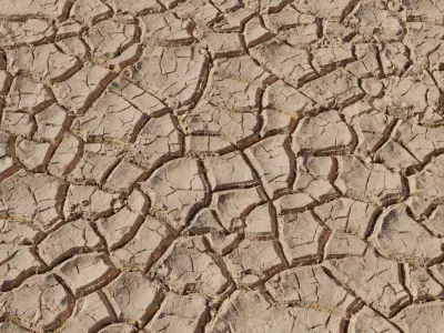 Dry Cracked Desert Soil Ground Texture