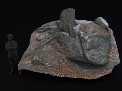 Beech forest ground - 4 o 6 - scan PBR Game ready Collection Low-poly 3D model