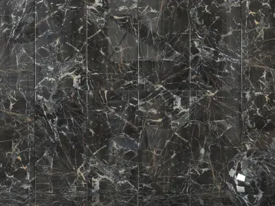 Wall Tiles Museum Laurent Black 60x120 Set 1 Texture