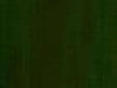 FACADE leaf Low-poly 3D model