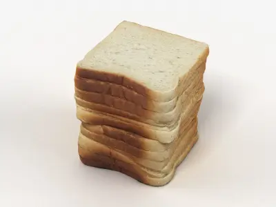 Bread or Toast Collection 3D model