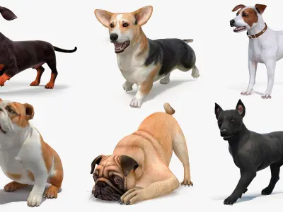  Small Dogs Rigged Collection 4 