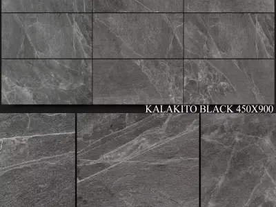 Zeus Ceramica Kalakito Black 450x900 3D model