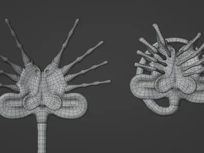 Facehugger Pbr Low-poly 3D model