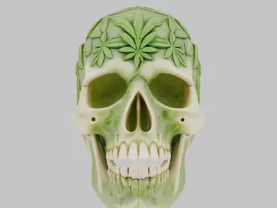 High Quality Detailed Skull 3D Model Low-poly 3D model