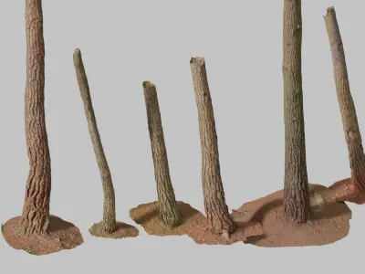 PBR Pine Tree Trunk Scan Set collection Low-poly 3D model