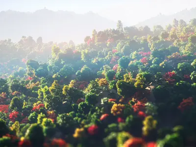 Low Poly Forest Summer Autumn Winter Stylish Low-poly 3D model