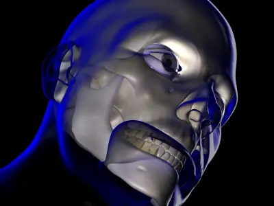 X-Ray Male Face Unrigged 3D model