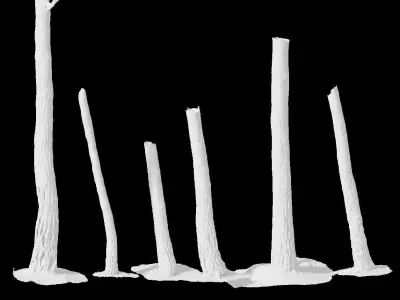 PBR Pine Tree Trunk Scan Set collection Low-poly 3D model